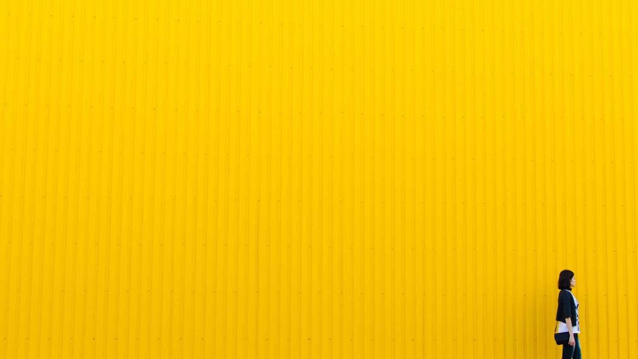 Backdrop for The Beach House