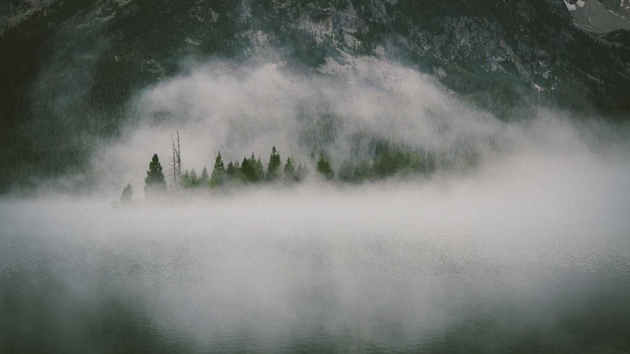 Backdrop for Crisis