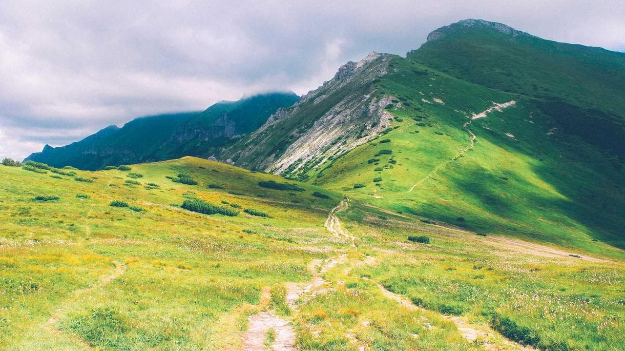 Backdrop for З України до Голлівуду