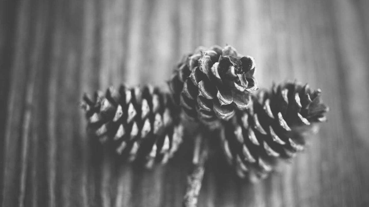 Achtergrond voor Here Comes Santa