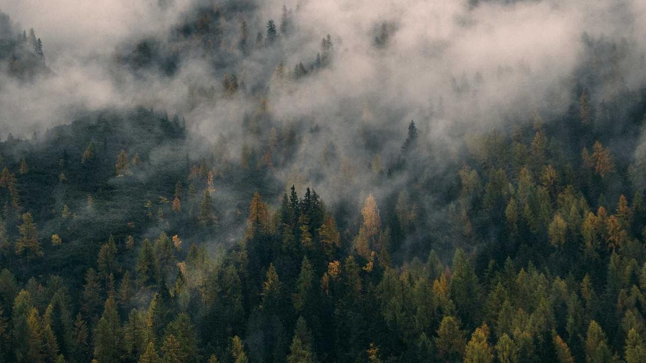 Backdrop for Lone Wolf