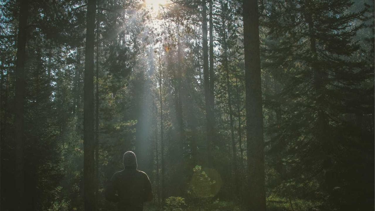 Backdrop for У самого белого моря