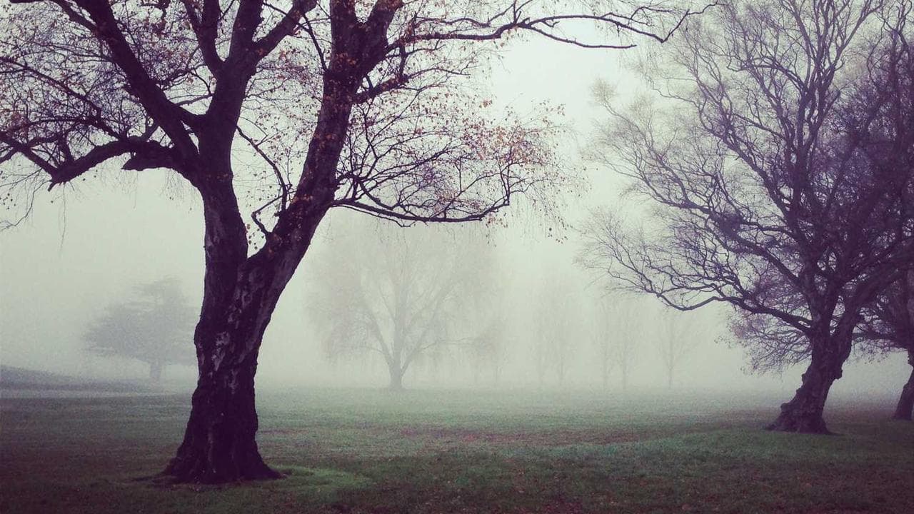 Backdrop for The Boy Who Saw Through