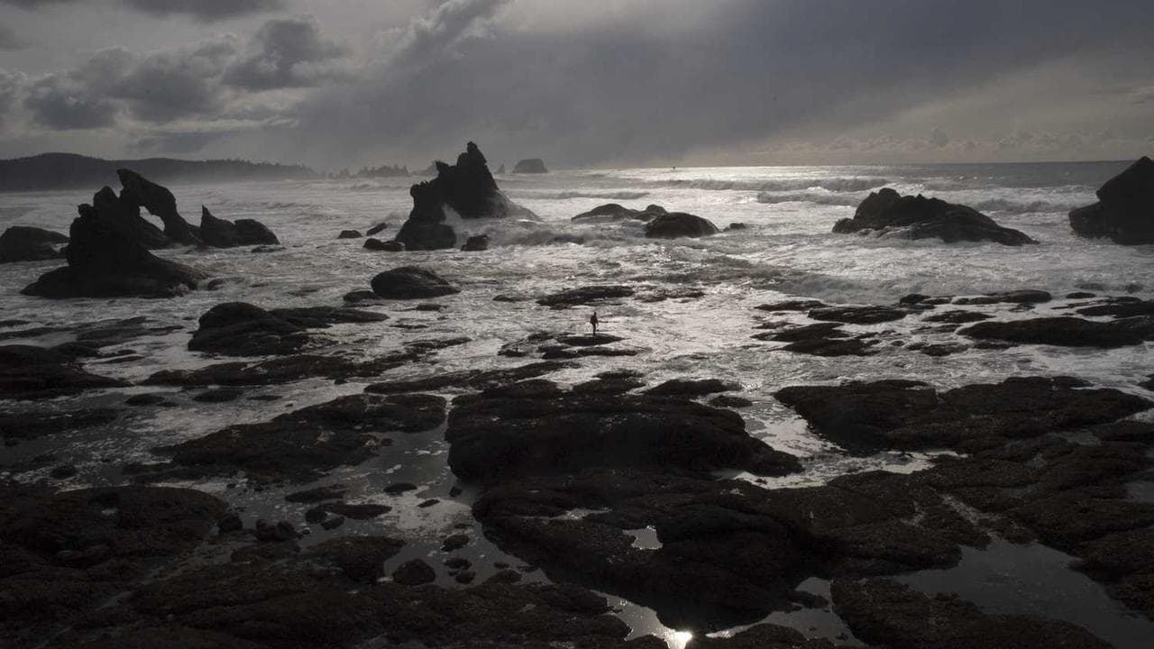 Backdrop for Found Footage of Fear