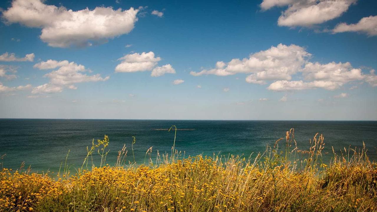 Backdrop for Święta wojna
