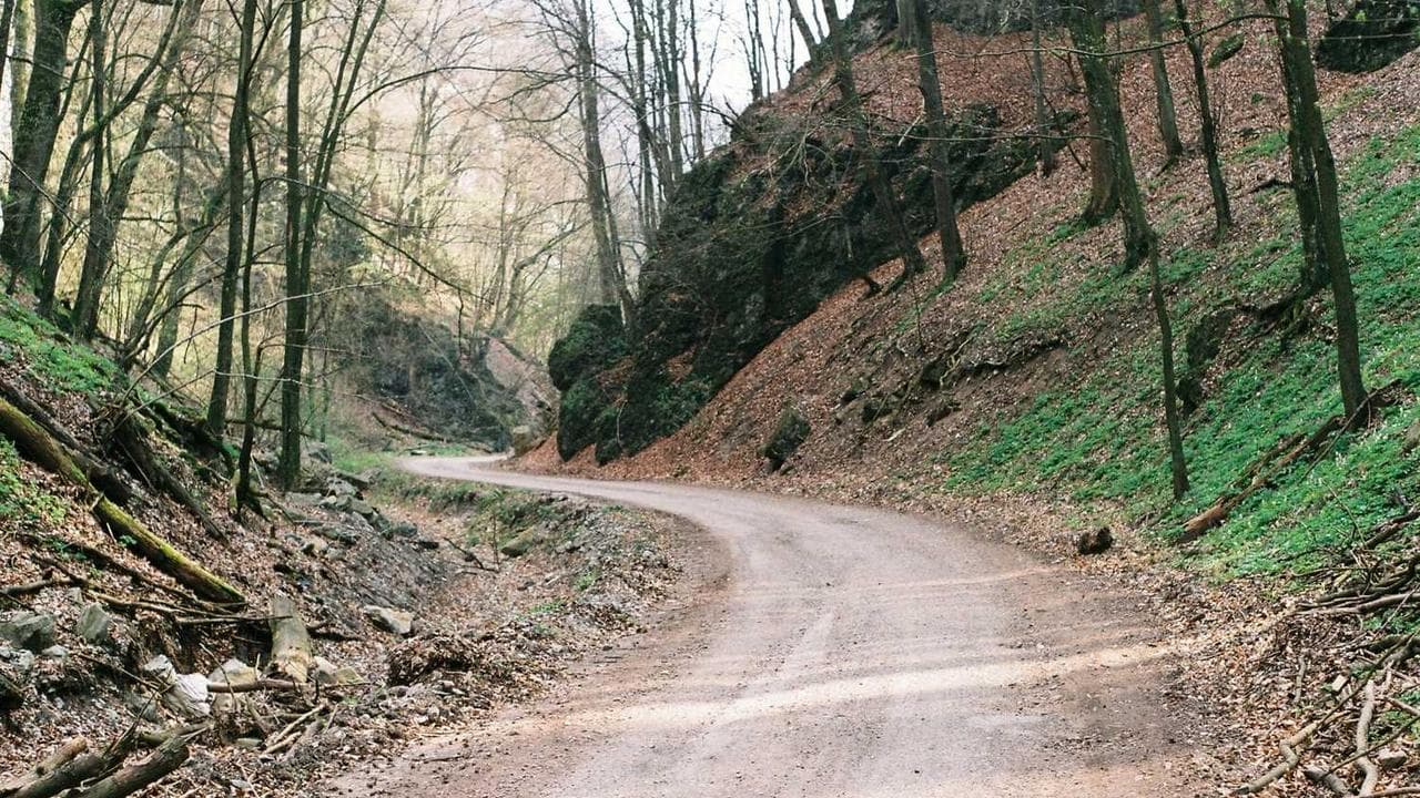 Backdrop for The Adventures of Bandit and Wild Wes