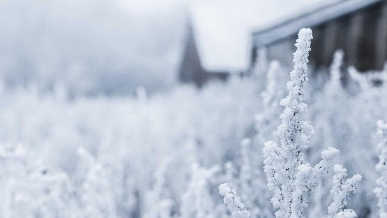 Achtergrond voor 若妻密室暴行事件