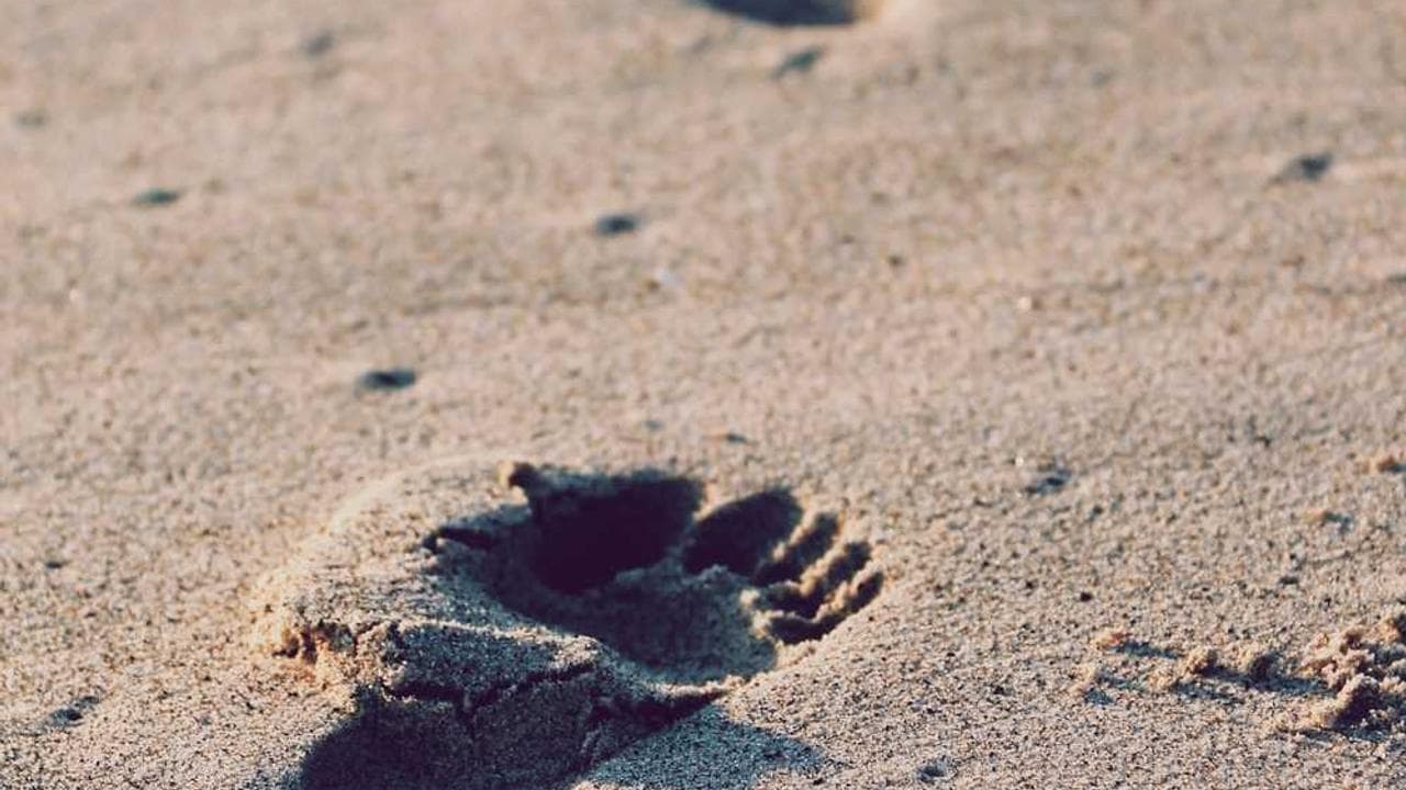 Achtergrond voor Personal Trainers 2