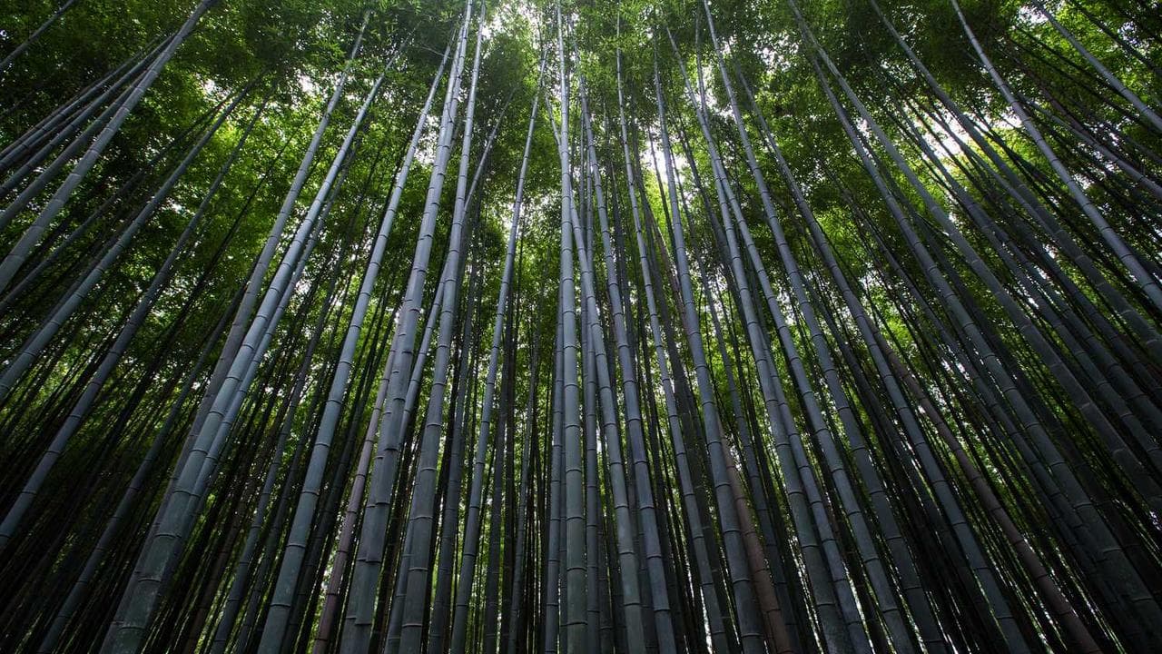 Backdrop for 彼女３　Kａｎｏｊｙｏ　Ｎｏ　Ｓａｎｊｙｏｕ