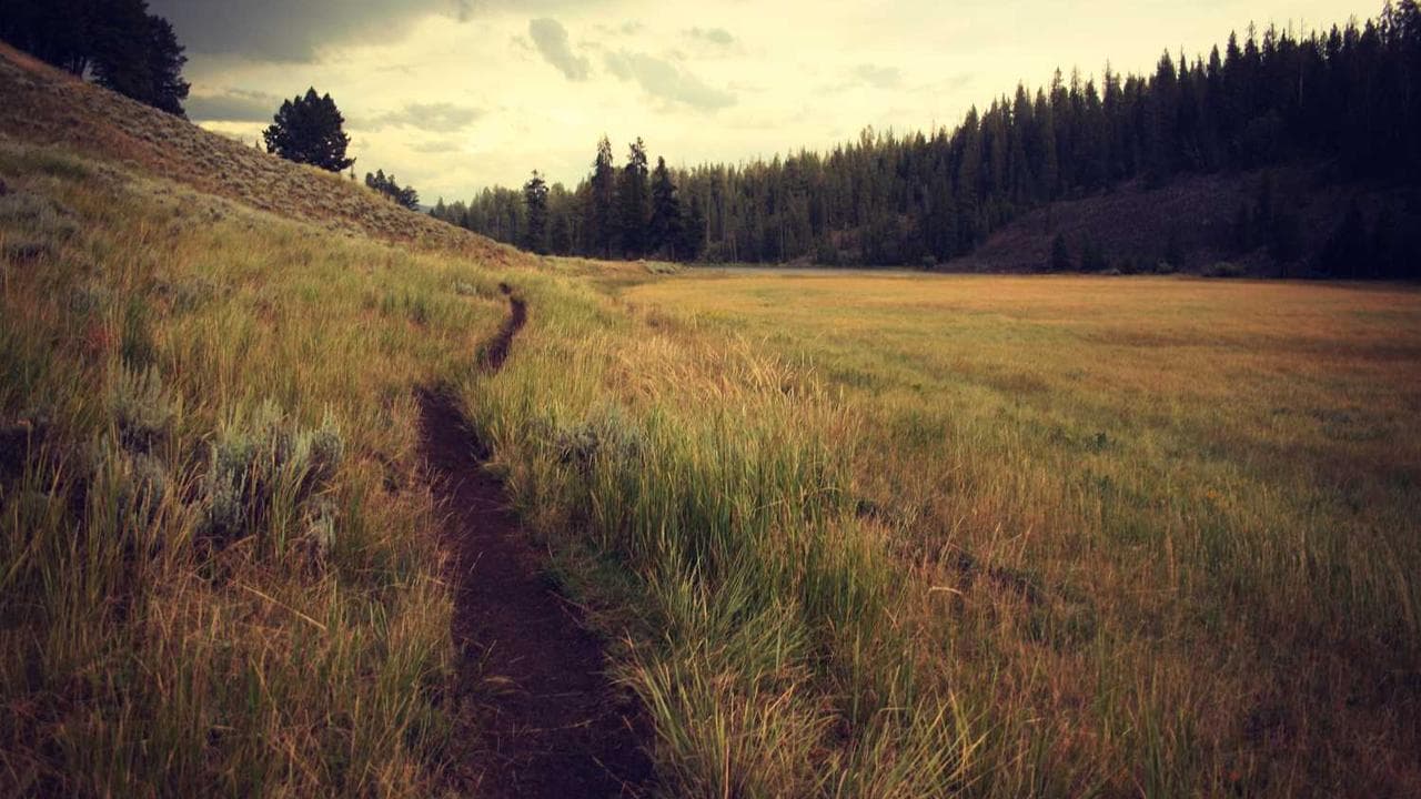 Backdrop for Mannen utan ansikte
