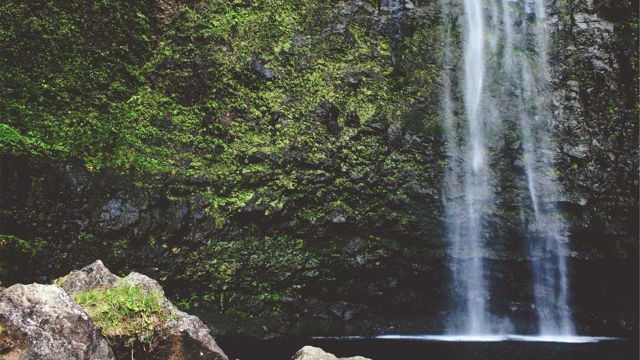 Backdrop for Ang Walay Kahumanang Adlaw