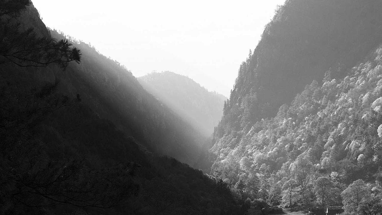 Backdrop for Steel-Man