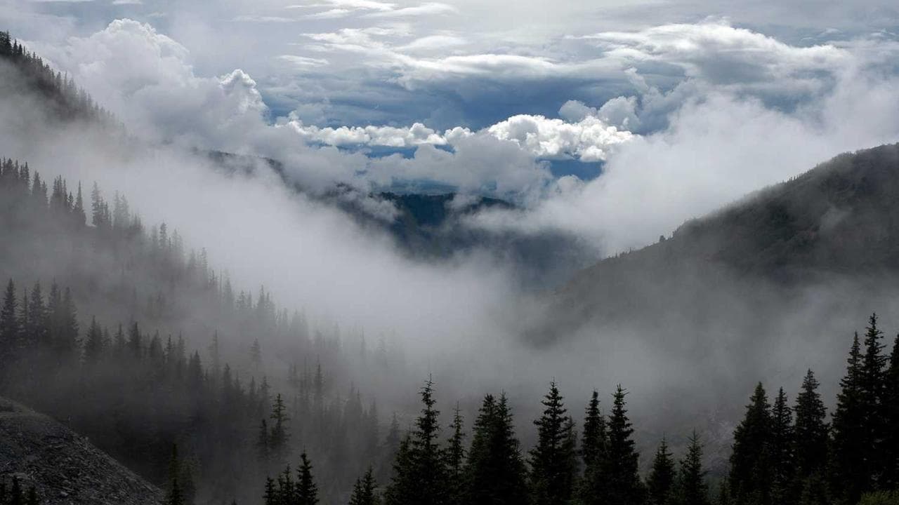 Backdrop for ده رقمی