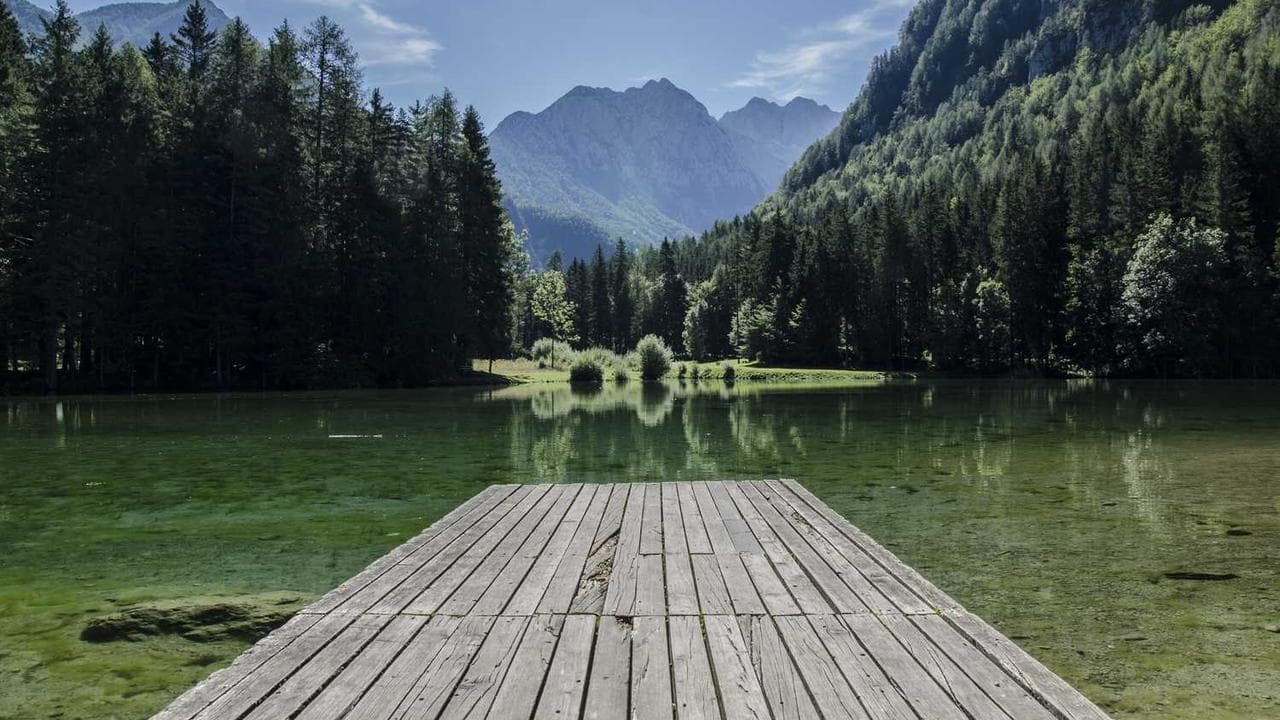 Backdrop for L'instruction