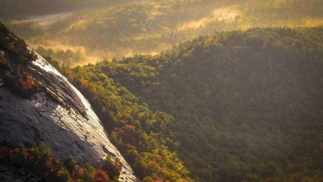 Backdrop for آب‌نبات‌چوبی