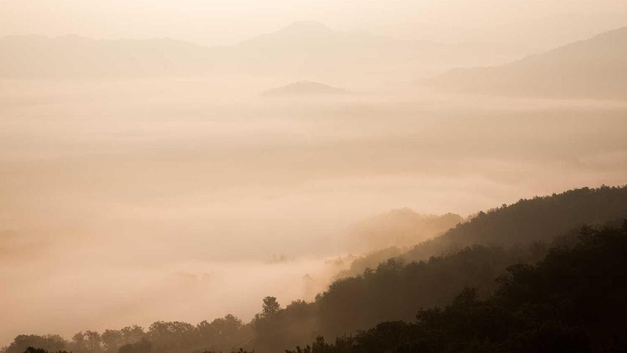 Backdrop for Assim Assim