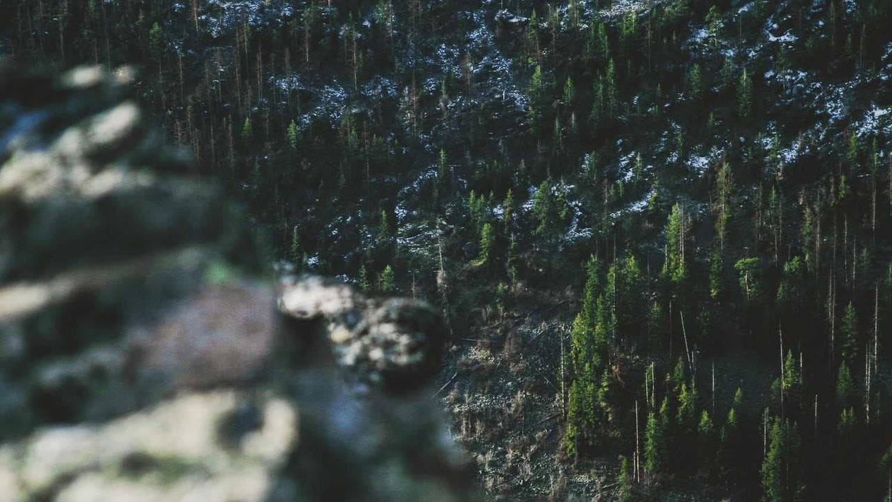 Backdrop for Demon Juice