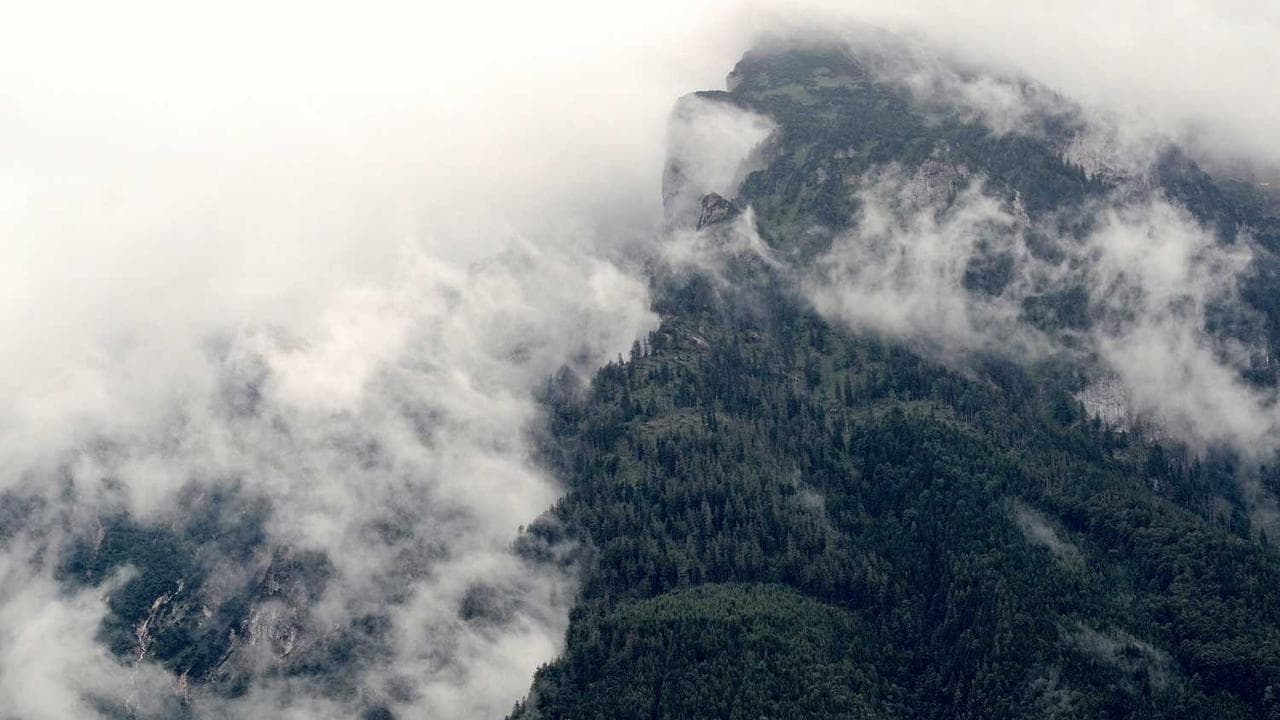 Backdrop for 女教師 秘密