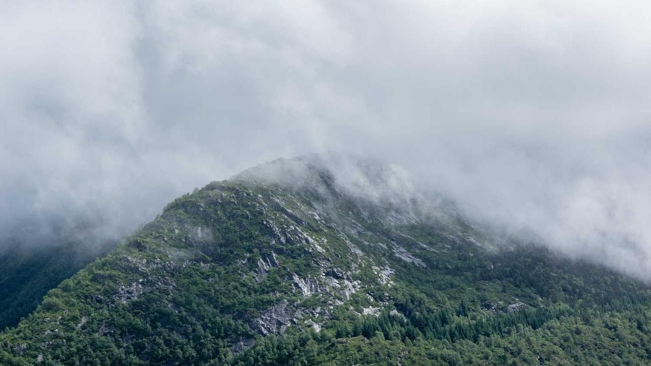 Backdrop for Le naïf amoureux