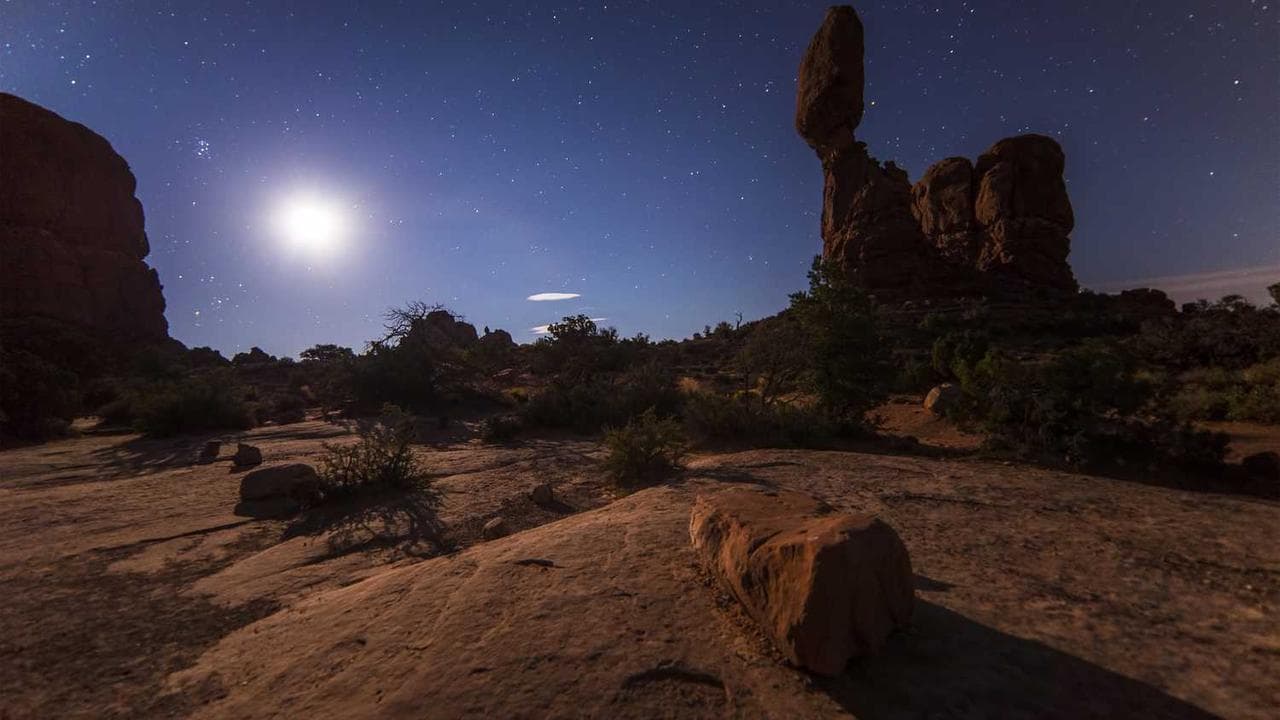 Achtergrond voor Many Faces of PJ Sparxx