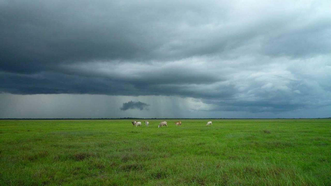 Achtergrond voor Shemale American Style