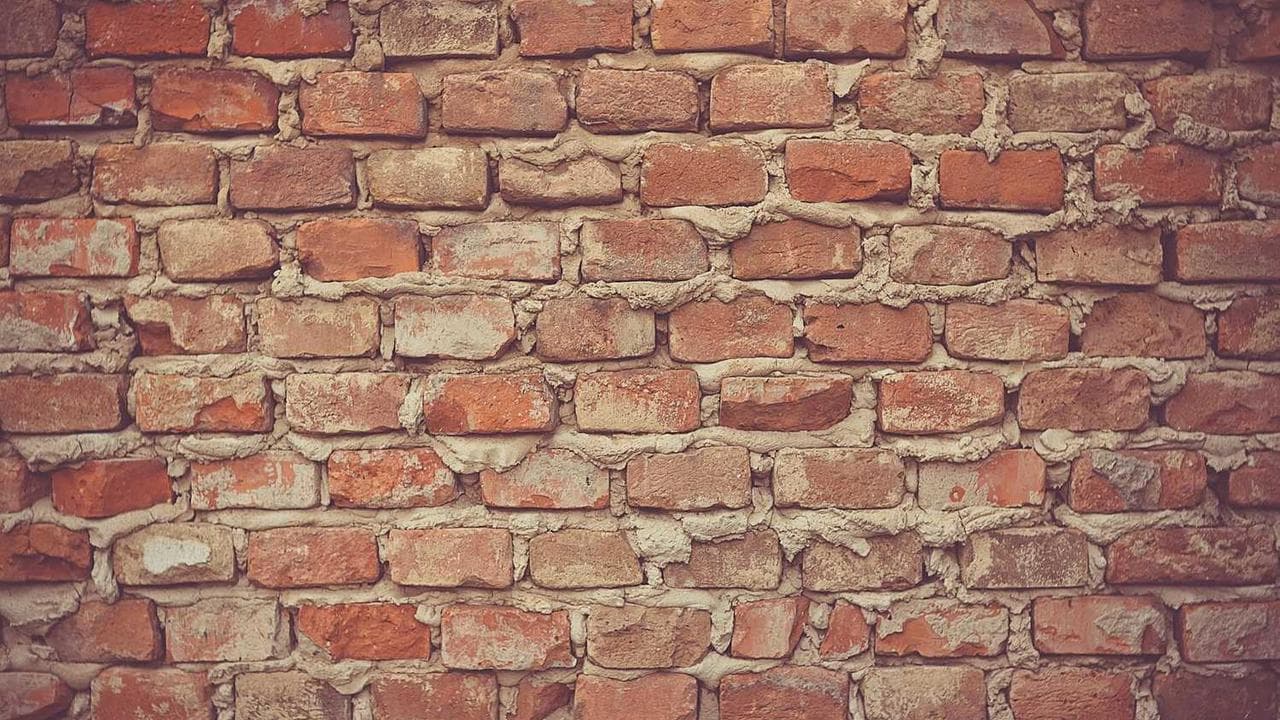 Backdrop for Максимилиан