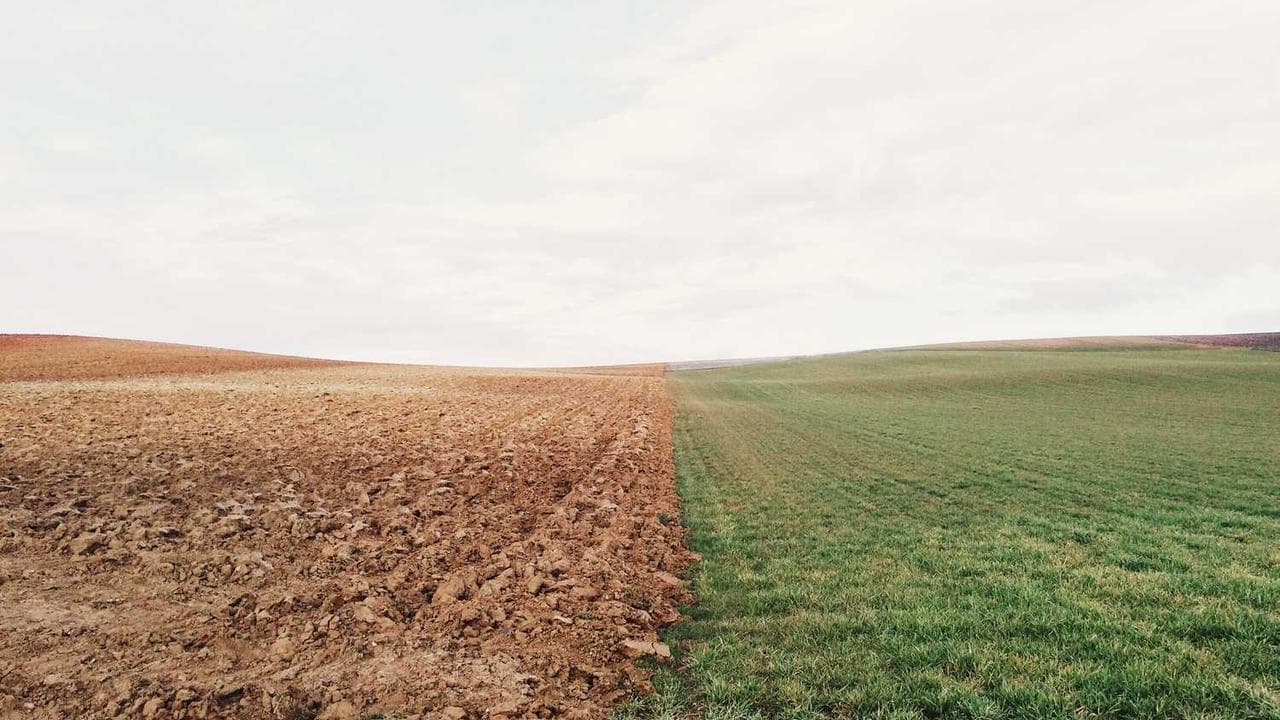 Backdrop for Народний Малахій
