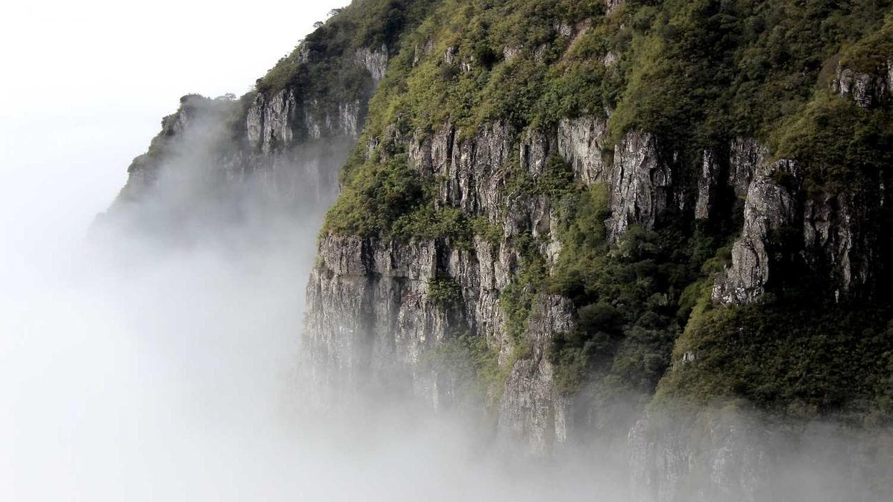 Backdrop for Tarzan and the Perils of Charity Jones