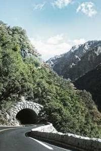 Dawido Dorigo