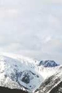 Iver Innset