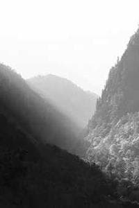 三浦雅子