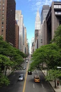 Larry Weissman