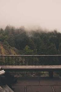 Forrest Borie