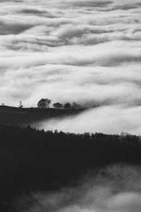 Fred Whitlock