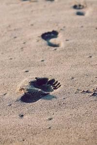 Vitalik Buterin