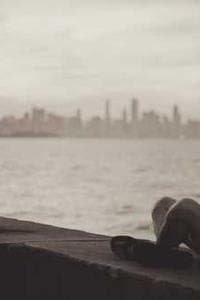 David Trevena