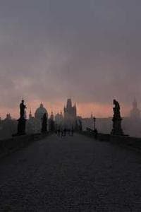 Gaby Heine