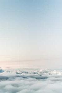 Annette Marie Westwood