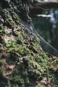 小林重四郎