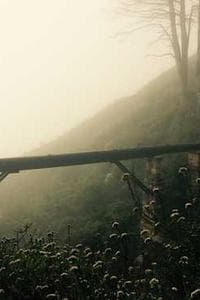 東野英心