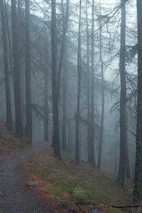 Rainer Litten