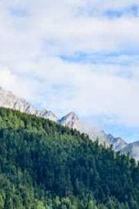 Ignacy Sut