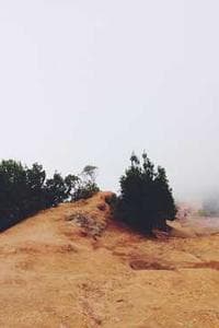 Prasert Pleansri
