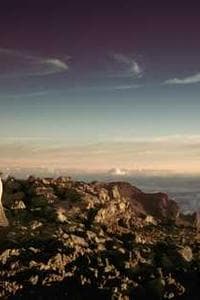 鹿島信哉