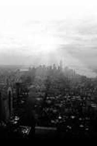 Stephen Berne