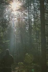 Seppo Mäki