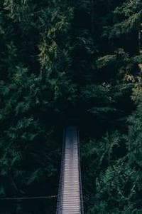 Lucas Hoppe