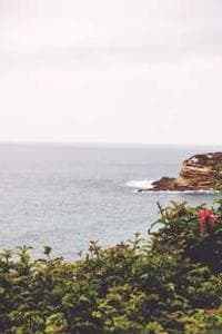 Hong Sap