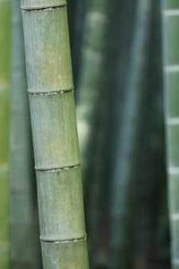 伊沢弘