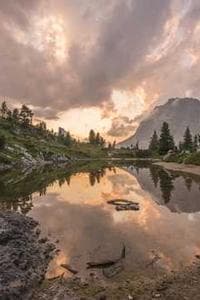 Ardis Barrow